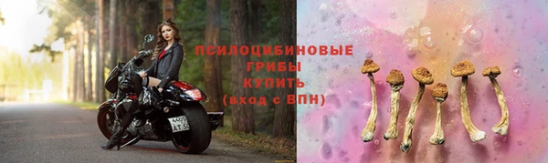 СК Нефтекумск